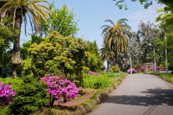 Экскурсия из Батуми, Batumi Botanical Garden day tour
