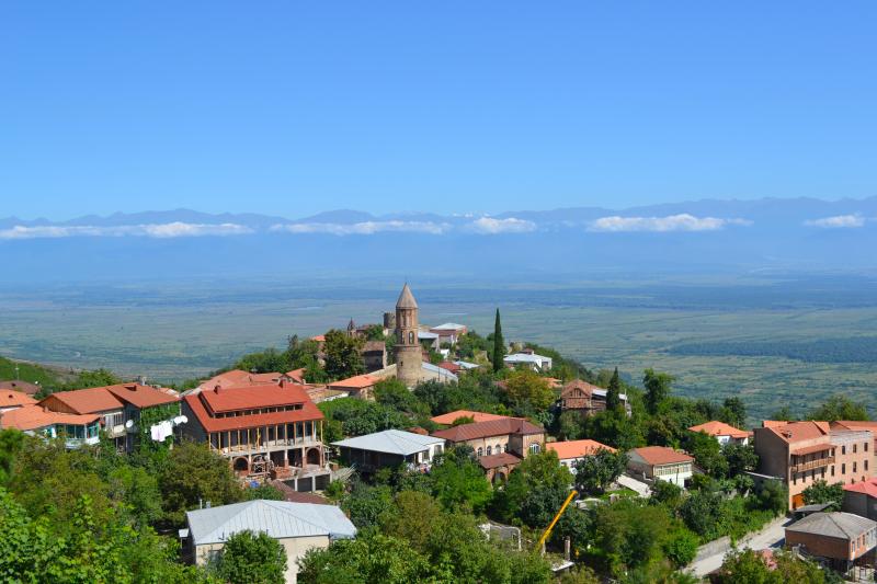 Wine and Culinary Tour in Kakheti Region