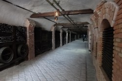 Khareba Winery Tunnel